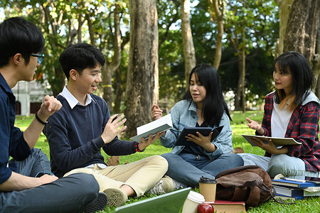 中医交流研讨会摄影照片_一群大学生坐在公园里一起读书、做小组项目和交流