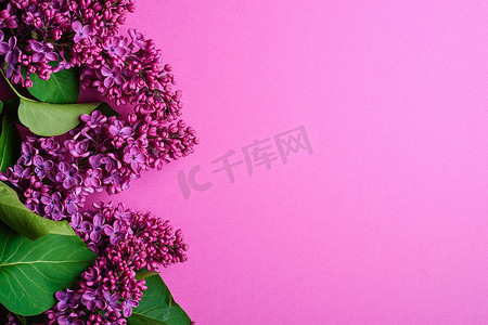紫色创意花朵摄影照片_淡紫色花束花朵，叶子最小紫色背景