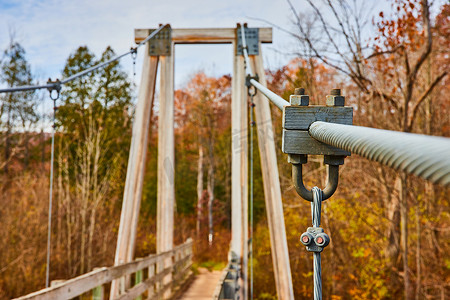 森林吊桥摄影照片_秋季森林支撑吊桥的大粗支撑线细节