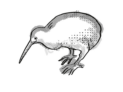 猕猴桃新西兰鸟卡通复古绘图