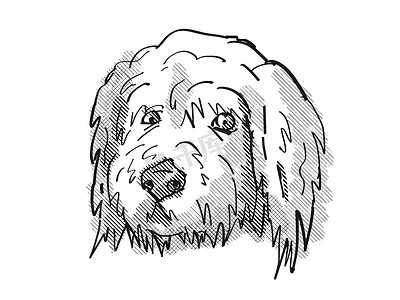 Goldendoodle 狗品种卡通复古绘图