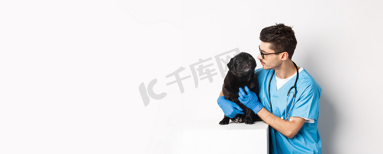 英俊的年轻兽医医生抓着可爱的黑哈巴狗，宠着狗，站在白色背景的磨砂膏里
