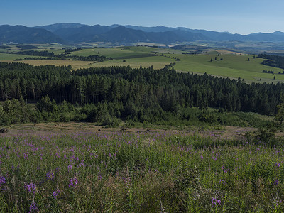 蓝色薄雾摄影照片_山谷里有草地、森林、绿色的田野，远处还有低矮的塔特拉山的蓝色薄雾山坡。