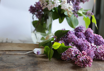 美丽的紫色春天花朵与礼品标签。