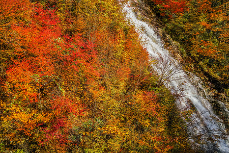 尺扬瀑布和秋叶（四万十湖）