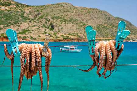 希腊克里特岛，背景是绿松石爱琴海，在阳光下的绳子上晒干新鲜章鱼