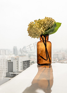 客厅白色桌子上的棕色罐子或玻璃复古瓶中的绿色鲜花花束，可欣赏城市景观。