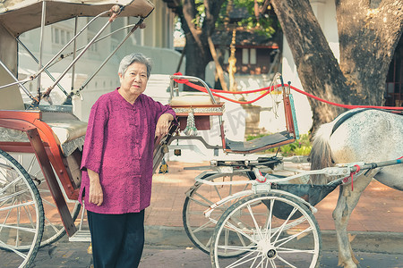 城市服务摄影照片_老老年高级老妇人与马人力车服务游客。