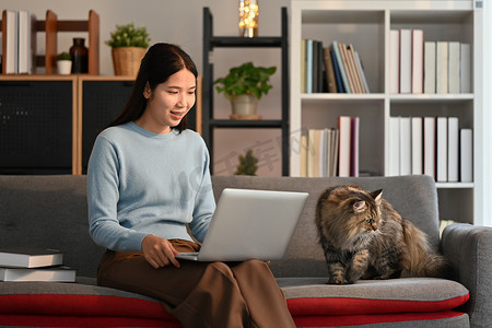 穿着休闲服的快乐年轻女人坐在沙发上，带着灰色毛茸茸的猫，使用笔记本电脑