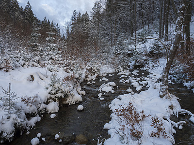 积雪覆盖的森林水流小溪，树木、树枝和石头，黄金时段阳光下的田园诗般的冬季景观