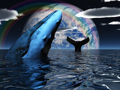 鲸鱼尾巴摄影照片_海洋中的鲸鱼