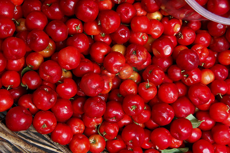 萨尔瓦多出售针叶樱桃水果