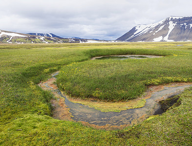 冰岛 f210 路附近地热区的夏季景观，色彩缤纷的绿色和橙色苔藓草甸，温泉和积雪覆盖的流纹山