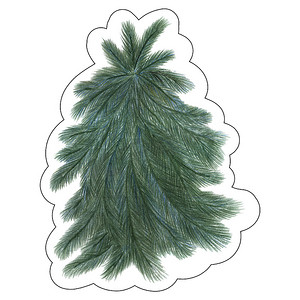 手绘绿树背景摄影照片_由彩色铅笔绘制的圣诞树贴纸隔离在白色背景。