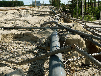 管道通过砍伐的木材铺设到工厂。
