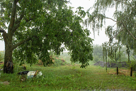 村屋的院子里下着雨。