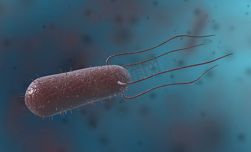 芽孢杆菌是一种革兰氏阳性、能形成芽孢的细菌，呈杆状或杆状。
