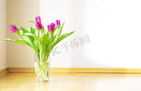 美丽的新鲜花束，在白色背景的明亮阳光下，玻璃花瓶里有粉色郁金香。