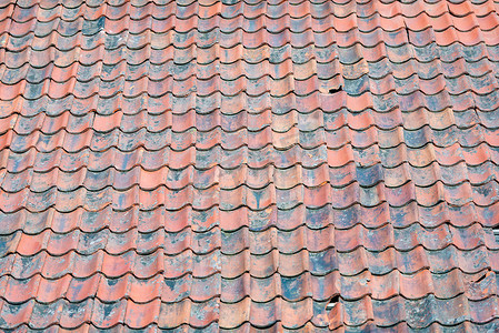 老石瓦屋顶在挪威，欧洲