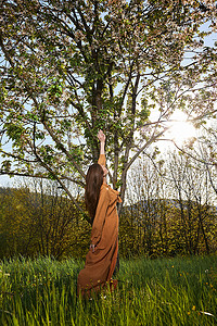 绿色树苗条摄影照片_一位身材苗条、红发长发的女子站在乡村，靠近一棵开花的树，身穿橙色长裙，站在镜头旁边，伸手去够树枝