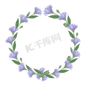 手绘植物花卉摄影照片_手绘花花环与蓝色的花朵。