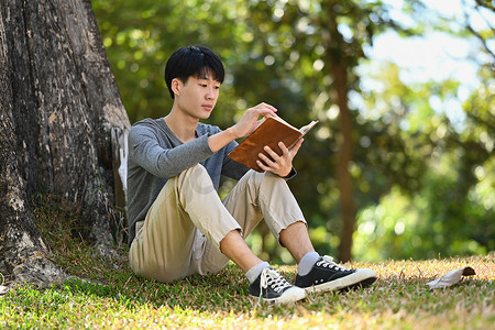 平静的亚洲年轻男学生在公园里读书，准备大学或学院的考试