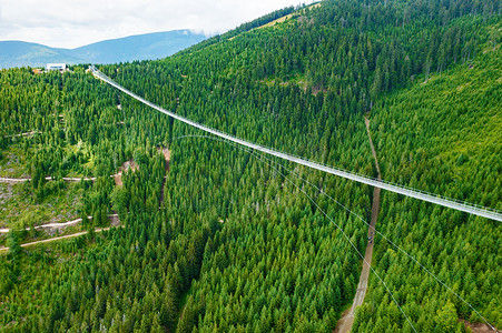 Sky Bridge 721 是森林中两座山之间最长的吊桥