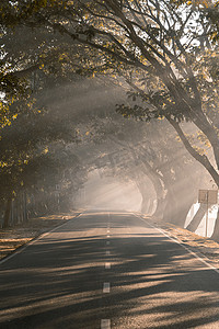 秋天冬天摄影照片_孟加拉国公路上的冬日早晨