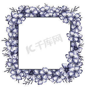 框架与蓝色手绘薄叶万寿菊花。