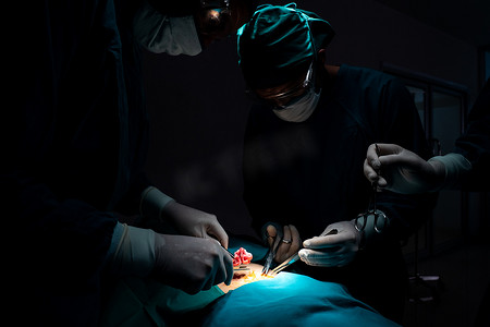 手术团队在无菌手术室为患者进行手术。