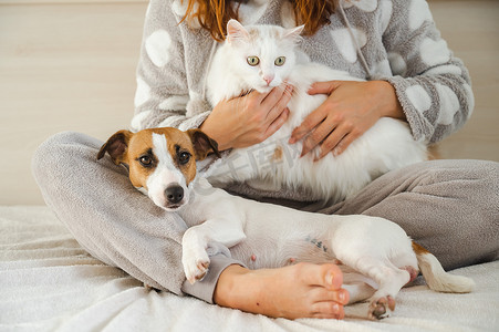 白人妇女坐在床上抱着一只白色毛茸茸的猫和杰克罗素梗犬。