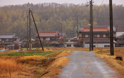 乡村农家乐摄影照片_冬雨天金色田野旁的传统日本房屋