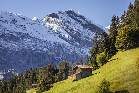 白雪皑皑的伯尔尼瑞士阿尔卑斯山和高山农场，瑞士