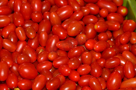 番茄（Solanum lycopersicum）是茄科（茄科）的开花植物，因其可食用的果实而广泛种植。