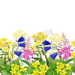 水彩无缝边框、野生黄色、粉色和蓝色花朵