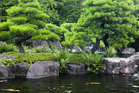 日本 姬路 姬路 Koko-en 花园池塘里养着锦鲤
