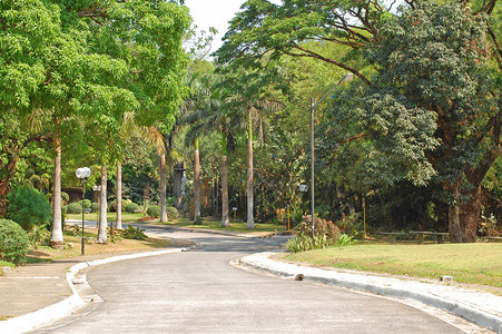Meralco 发展中心 (MMLDC) 路径，苏姆伦有树木