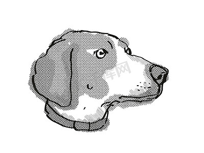 博格伦梗狗品种卡通复古绘图