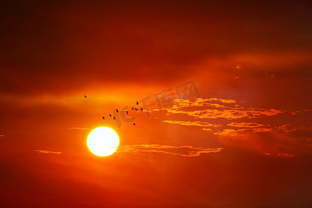 红黄色鸟儿摄影照片_傍晚的日落，黄色的天空上的红云，鸟儿飞走了
