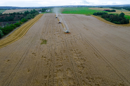 三台联合收割机在田间收割小麦，收获麦粒，产量高。