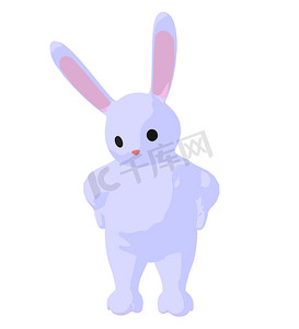 白色小兔子艺术插图