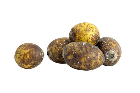 plum摄影照片_Hog Plum Spondias pinnata 森林水果（Makok 泰语）隔离在白色背景特写