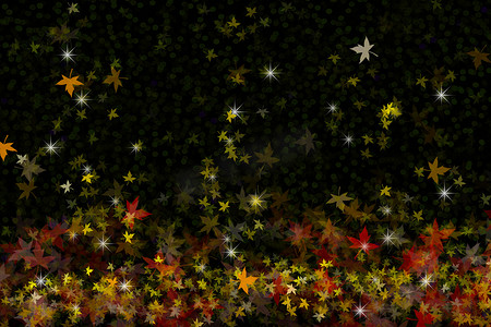 枫叶落抽象的模糊五颜六色的灯光室内夜花园