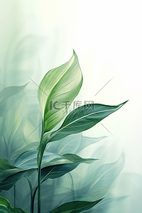 白百合百合背景图片_简约的绿色植物白掌叶子