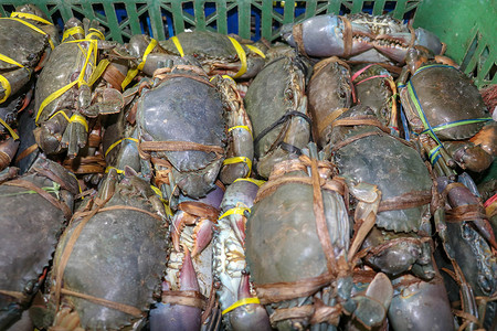 金巴兰海鲜柜台上出售的新鲜螃蟹图案。 