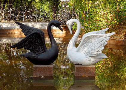 阿拉木图 - 一只白色和黑色天鹅的雕塑