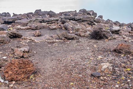 哈雷阿卡拉火山顶部的典型地面成分，毛伊岛，哈