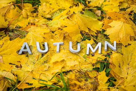 autumn字母摄影照片_AUTUMN这个词用灰色字母铺在地上，枫叶