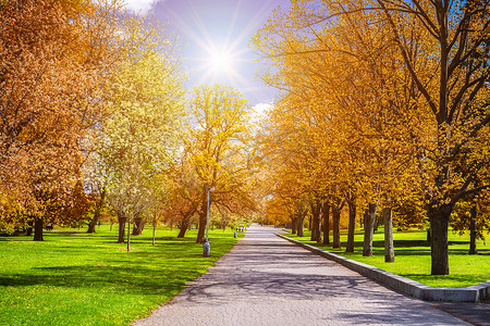 有道路和意想不到的光芒的不可思议的秋天公园，童话般的土地