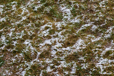 从透视图看，第一场雪覆盖在绿草和秋叶上